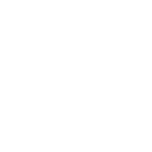 jisseki_icon