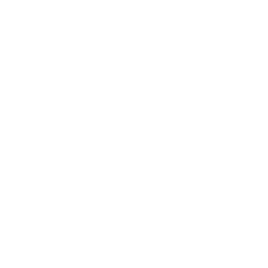 jisseki_icon