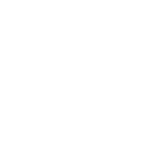 jisseki_icon