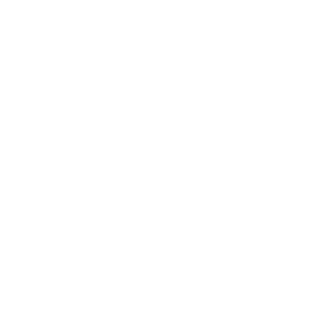 jisseki_icon