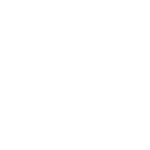 jisseki_icon
