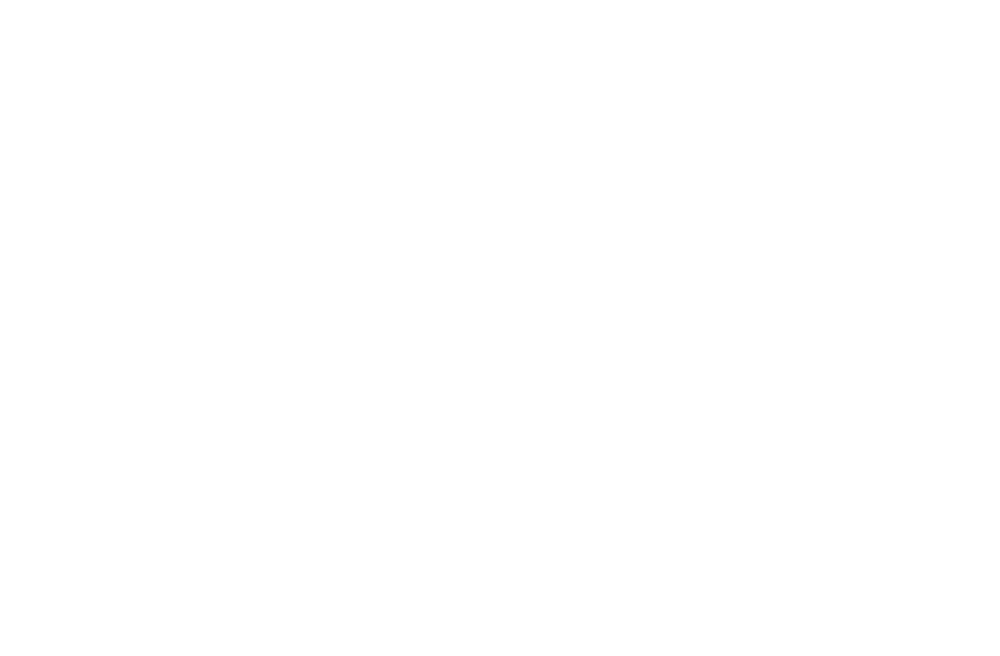 新潟デックロゴ