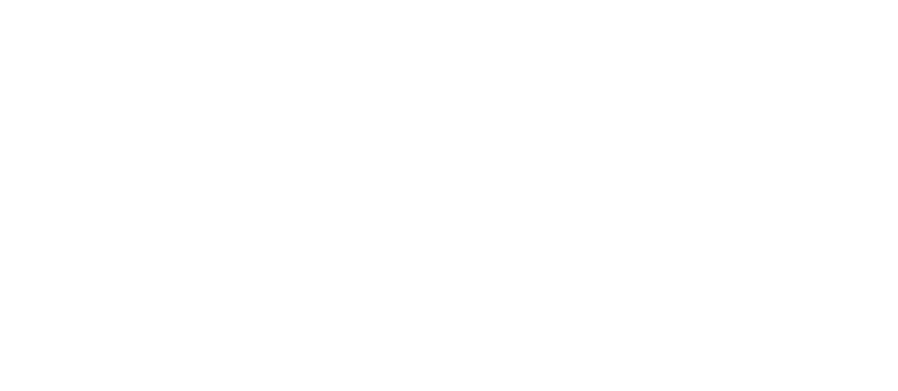 新潟デックロゴ